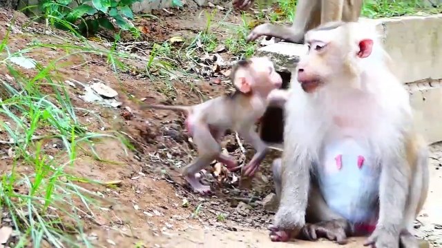 Tiny Rockstar Baby Is Afraid Of Falling And Tries Harder To Hold Mother (720p_25fps_H264-192kbit_AAC)