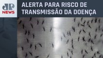 Dengue: É preciso atenção às orientações para doação de sangue