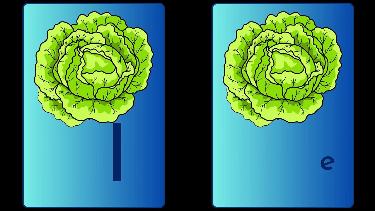 FRUIT 11