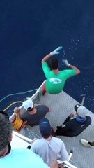 They couldn’t believe what they just saw