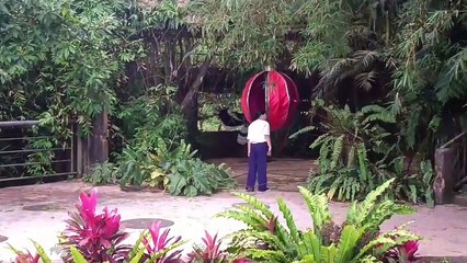 TRAVEL | Celebrating 68th Months With My Girl❤️