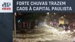 Temporal provoca alagamentos e quedas de árvores em São Paulo