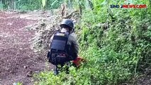 Antisipasi Kasus di Mako Brimob Surabaya, Tim Gegana DIY Ledakan 22 Bom Hasil Temuan Sepanjang 2022-2024