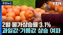 물가, 과일값·유가 뛰며 한 달 만에 3%대 상승 / YTN