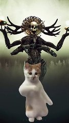 قطة ترقص مع الشيطان