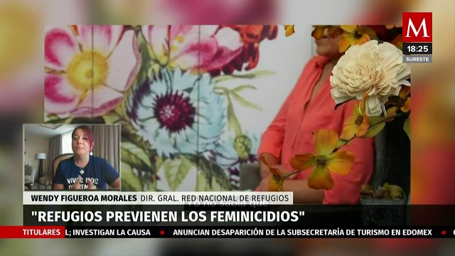¿Existe una red de refugios para mujeres?