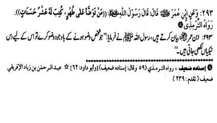 WUZU AFTER WUZU, PROFIT OR LOSS (293)