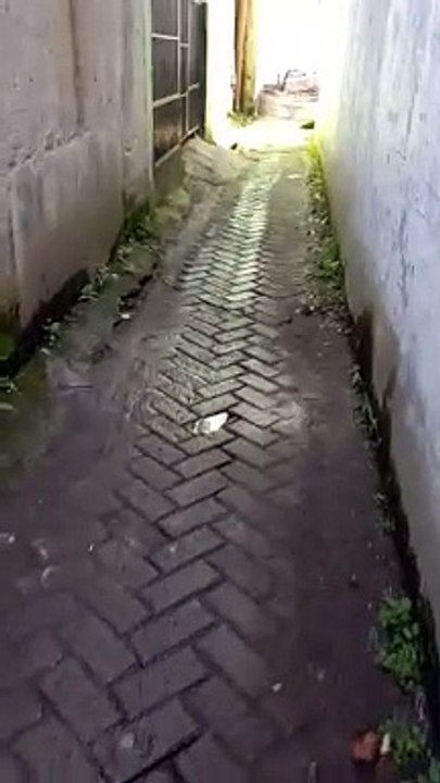 jalan jalan