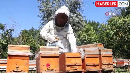 Erken gelen baharla birlikte başlayan bal mesaisi depremzede arıcıya umut verdi