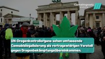 Deutschlands umstrittener Weg: Cannabislegalisierung und internationale Rechtskonflikte