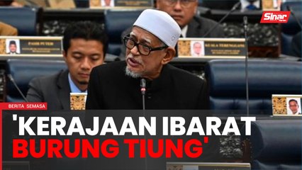 'Kerajaan Madani umpama burung tiung' - Abdul Hadi
