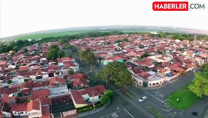 Brezilya'da sivrisinek virüsünden dolayı 31 kişi hayatı kaybetti, bir çok şehirde olağanüstü hal ilan edildi