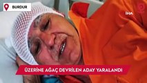 Seçim çalışması yapan adayın üstüne ağaç devrildi