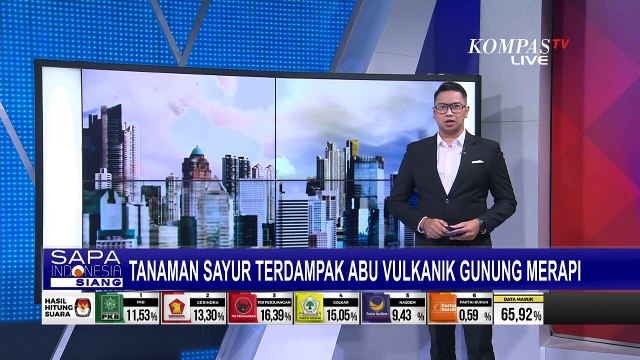 Dampak Erupsi Merapi, Abu Vulkanik Menyelimuti Lahan Pertanian Sayur!