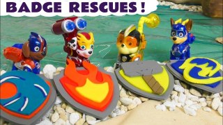 Paw Patrol Toys Badge Rescue Toy Stories for Children and Kids