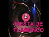 ''FIESTA DE FLAMENCO''  ( LEO BENNINK  /SPANISH /POP /ROCK /INSTRUMENTAL )