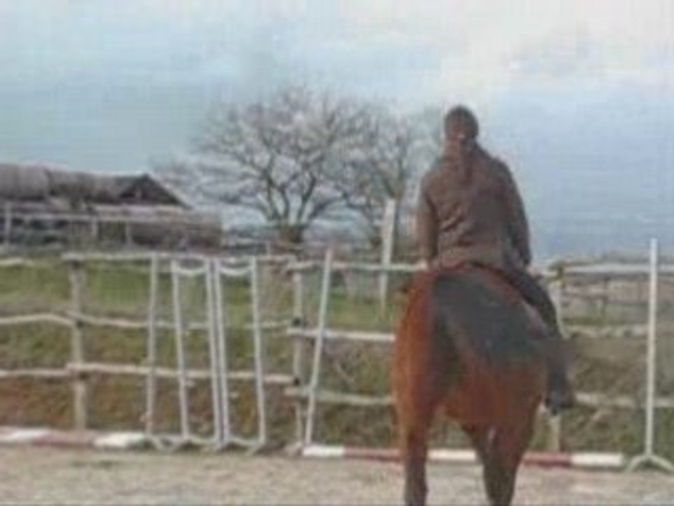 Gitane taf avemano