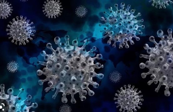 Long Covid brain fog could be down to leaky blood vessels