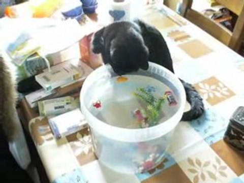 Broderies avril 2008 003