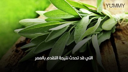 تعرف على فوائد نبتة الميرميّة