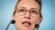 Alice Weidel: Privatleben gefährdet politische Karriere bei der AfD