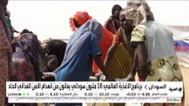 السودان يوافق على إدخال المساعدات الإنسانية عبر الحدود مع تشاد