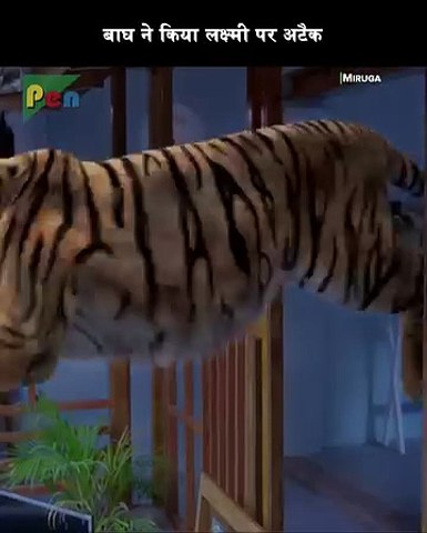 Horrible situation
