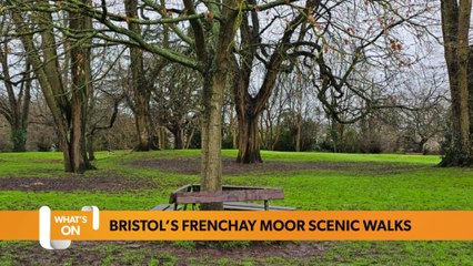 Bristol March 06 What’s on Guide: Visit the scenic walk with wild flowers at Frenchay Moor