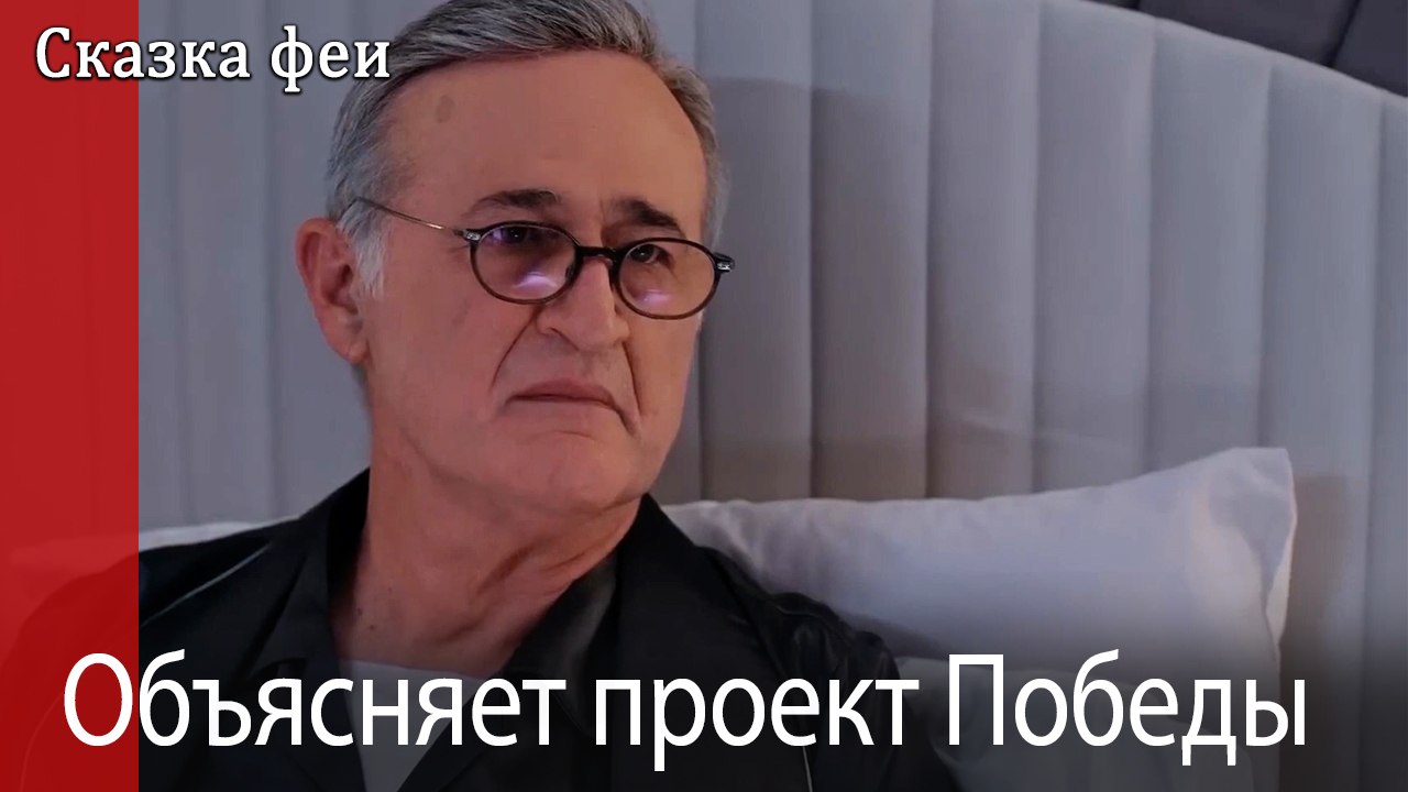 Объясняет проект Победы