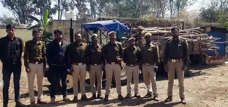 वन विभाग ने पकड़ी सागवान की लकडिय़ों से भरी ट्रैक्टर-ट्रॉली