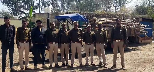 वन विभाग ने पकड़ी सागवान की लकडिय़ों से भरी ट्रैक्टर-ट्रॉली