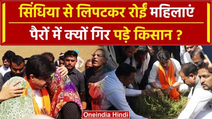 MP News: Guna में Jyotiraditya Scindia से लिपट क्यों रोई महिलाएं? | वनइंडिया हिंदी #SHORT