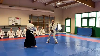 KATATE MOCHI SOKUMEN IRIMI NAGE 2
