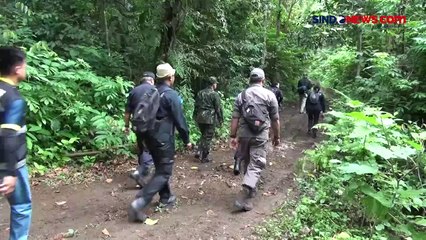 BNN Musnahkan 4 Hektare Ladang Ganja di Aceh Besar, Berawal dari Temuan 200 Kg Ganja