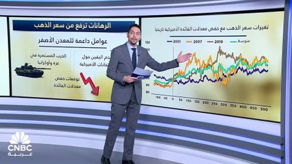 هل سعر الذهب سيصل إلى 3000$ في 2024؟