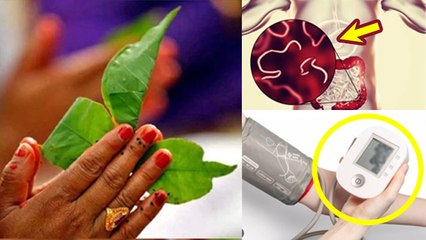 1 दिन में कितना बेलपत्ता खा सकते है | रोजाना खाली पेट बेलपत्ता खाने से क्या होता है | Boldsky