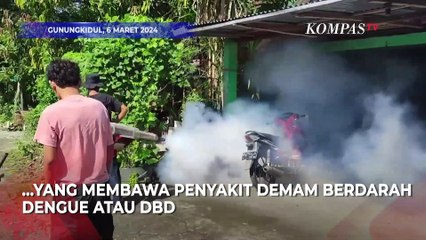Dinkes Gunungkidul: 2 Anak Meninggal karena DBD
