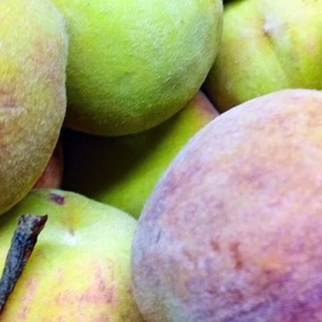 -ANDRÉS DE JESÚS VÉLEZ FRANCO- ALGUNOS CONSEJOS PARA ELIMINAR EL ESTRÉS (PARTE 2) (@AndresdeJesus90)