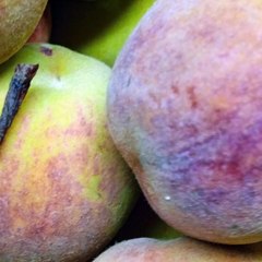 -ANDRÉS DE JESÚS VÉLEZ FRANCO- IMPORTANCIA DE LA PREPARACIÓN MENTAL EN EL RENDIMIENTO DEPORTIVO (PARTE 1) (@AndresdeJesus90)