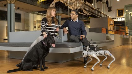 University of Glasgow Unveils AI-Powered Talking Guide Dog for the Visually Impaired 🦮