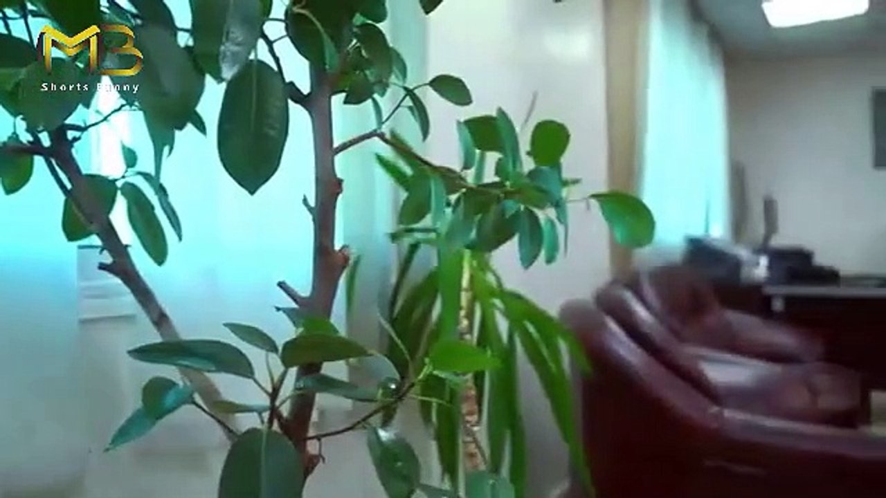 مسلسل ببساطة - الحلقة 5 - تطور