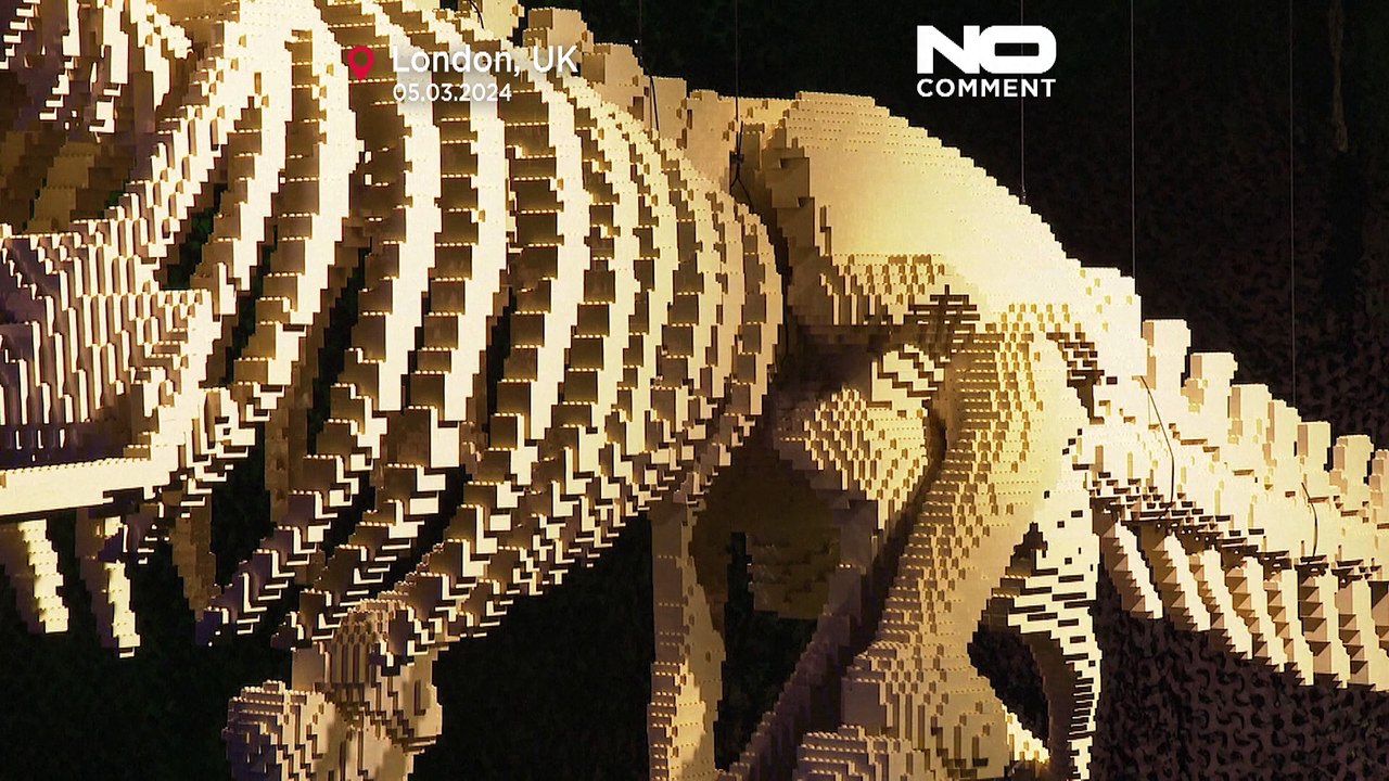 Ex-advogado torna-se no artista LEGO mais famoso do mundo