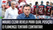 "A INFORMAÇÃO que EU APUREI é que o Flamengo VAI TENTAR A CONTRATAÇÃO de um..." Mauro Cezar FALA!