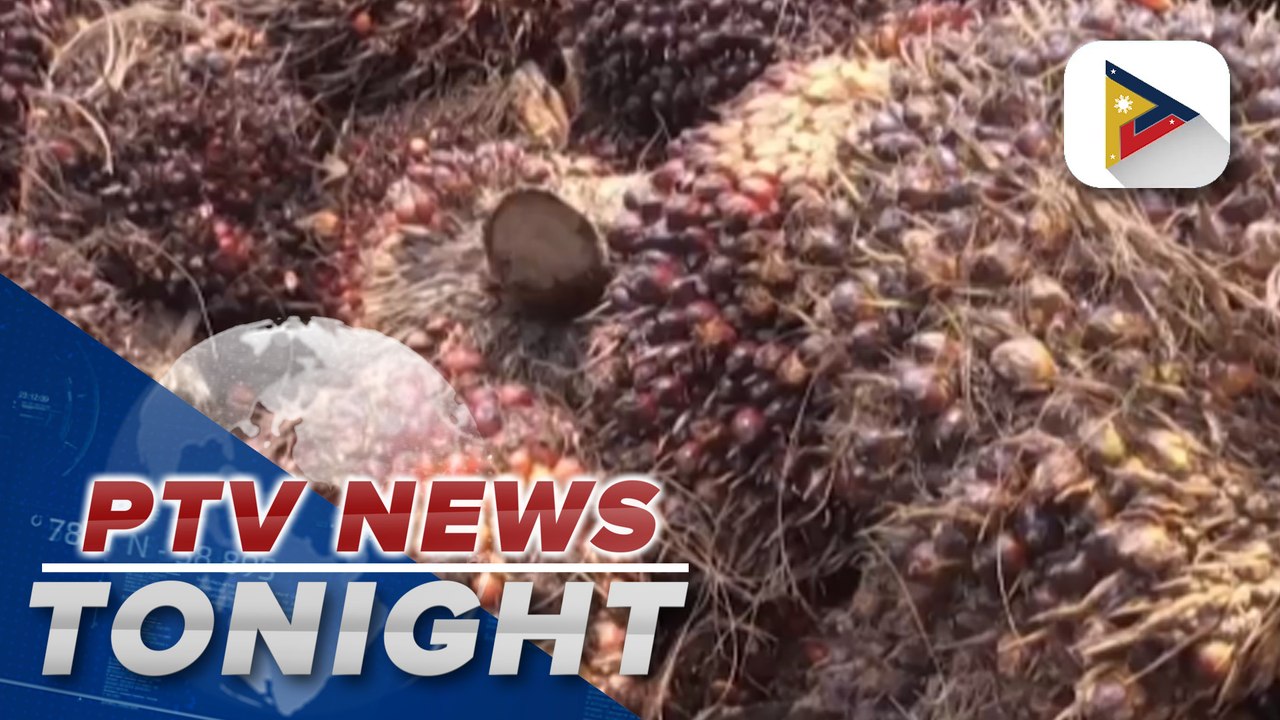 Shrinking palm oil supplies, strong biodiesel demand expected to hike prices