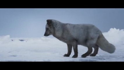 In anteprima una clip di "Kina e Yuk alla scoperta del mondo"