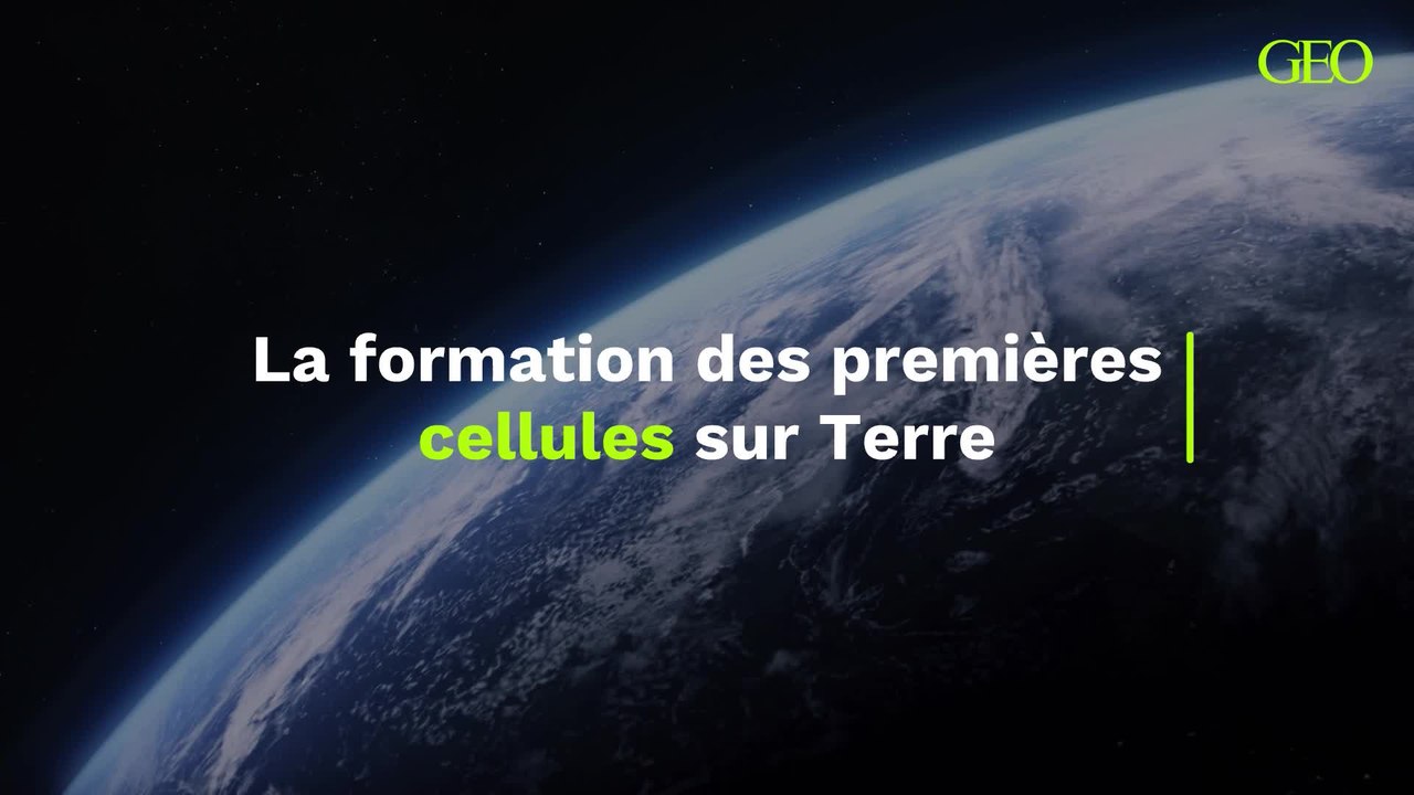 Comment les premières cellules se sont-elles formées sur Terre ? Des scientifiques pensent avoir la réponse