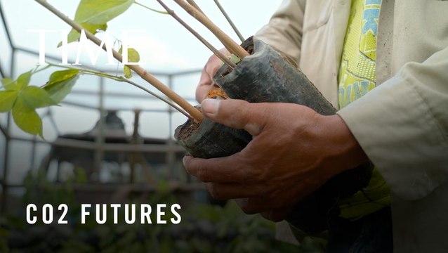 Incentivizing the Protection and Restoration of Forests and Ecosystems