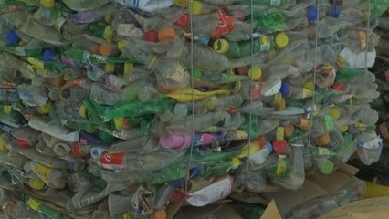 Marea Verde presente proyecto a candidatos a la Alcaldía