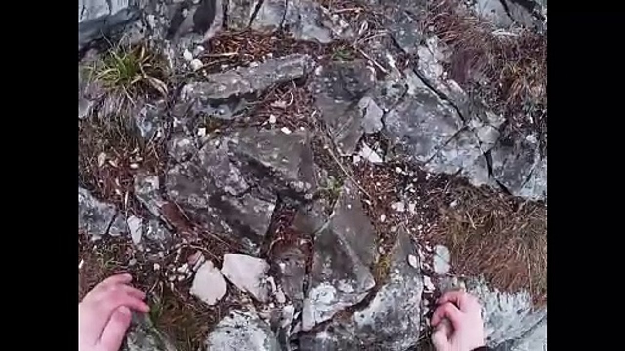 On the road in the fog