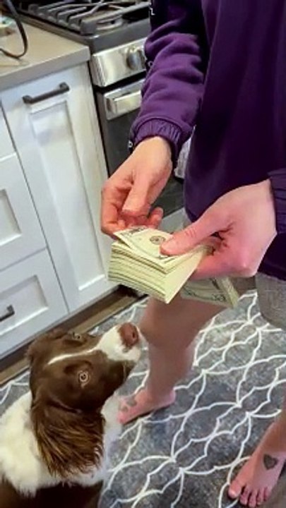 Wife Shows Her Money Counting Skills